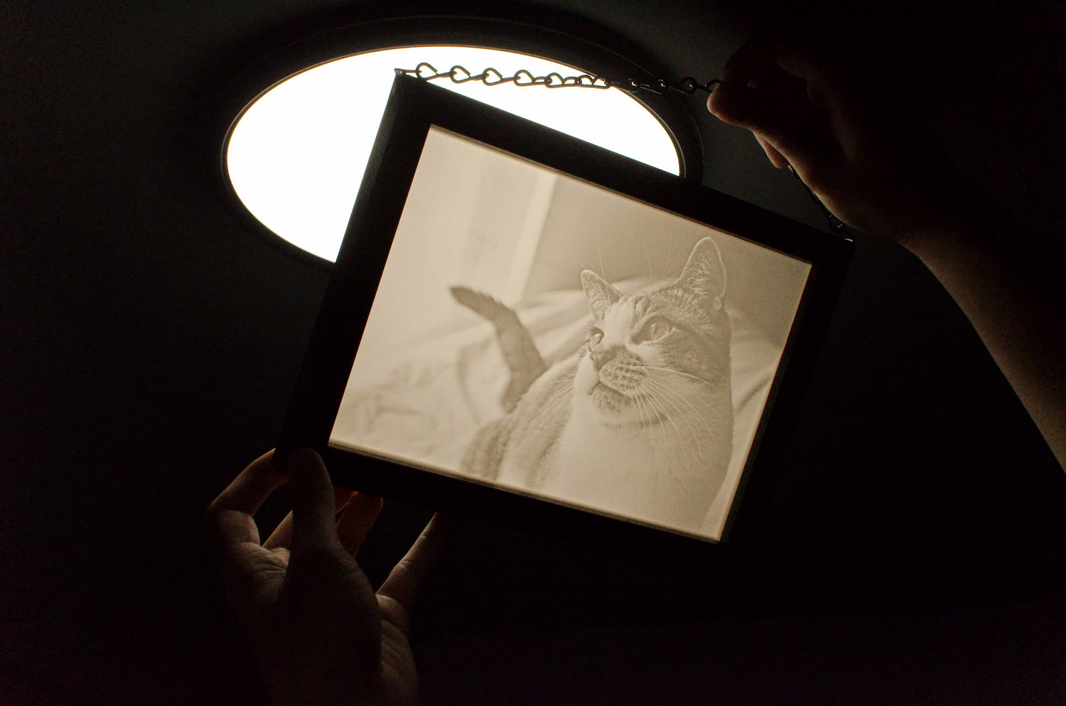 Custom lithophane of pet cat in Walnut frame being held to light